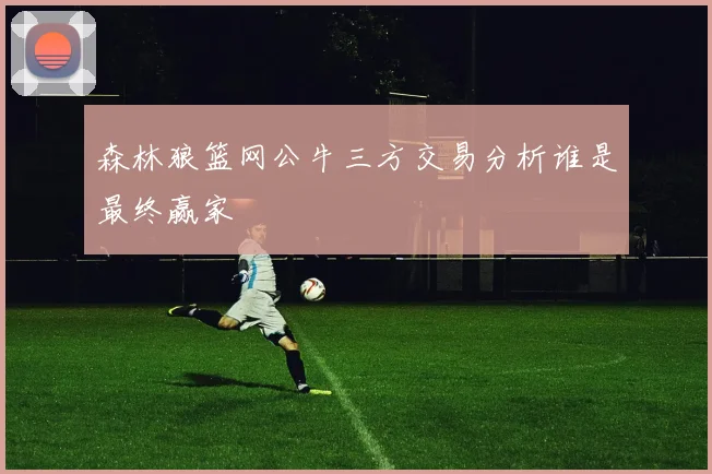 森林狼篮网公牛三方交易分析谁是最终赢家