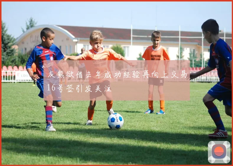 灰熊欲借去年成功经验再向上交易16号签引发关注