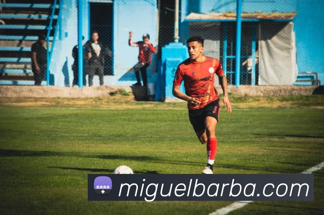 数据分析功能